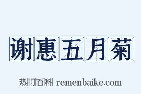 谢惠五月菊是什么意思的图片